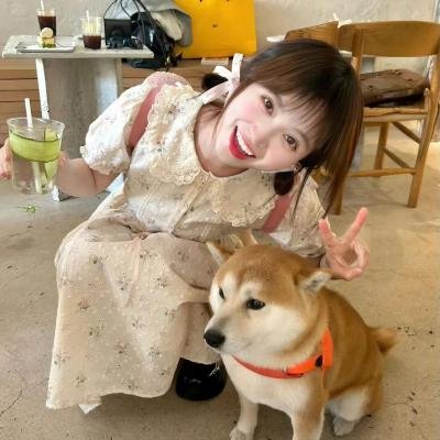 金牌红娘第二部